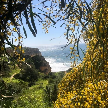 Casa De Oksana Appartement *