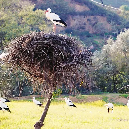 Appartement Casa De Oksana