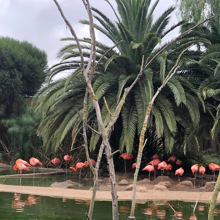 Casa De Oksana Appartement Lagos