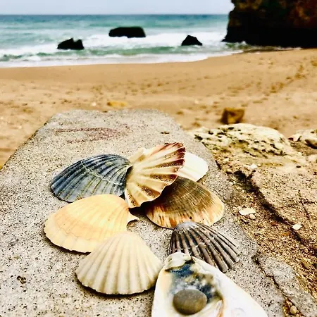 Casa De Oksana Lagos