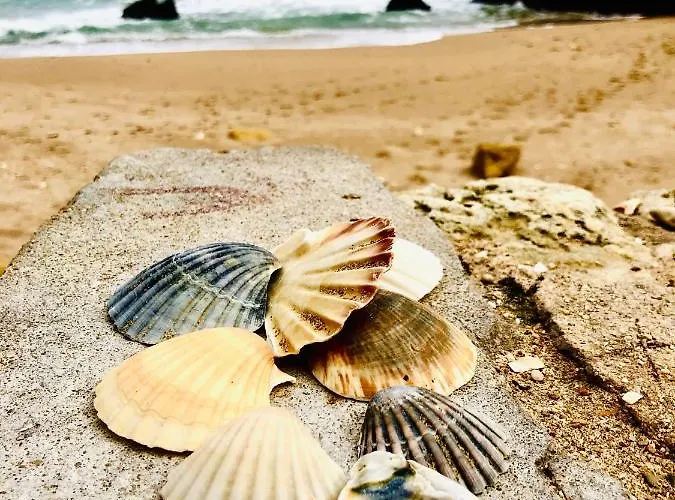 Casa De Oksana 라고스